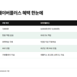 쿠팡 와우와 네이버플러스의 월회비·쇼핑적립·배송·반품·OTT 혜택을 나란히 비교한 표